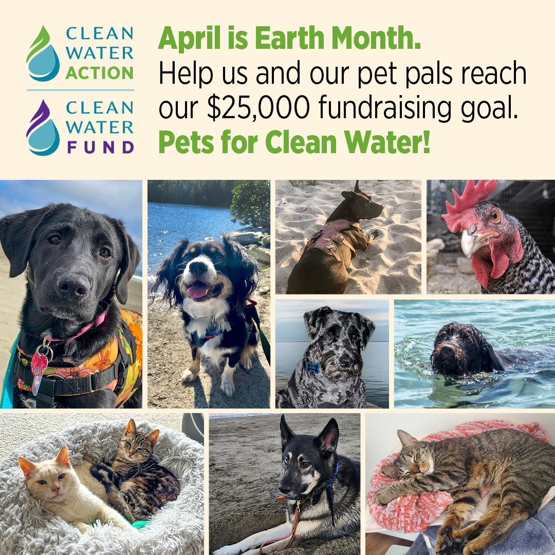 April is Earth Month. Help us and our pet pals reach our $25,000 fundraising goal. Pets for Clean Water!